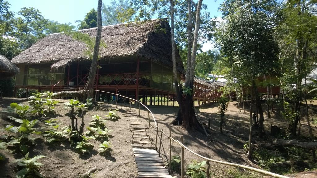 Amazon Queen Lodge Масан Номер фото
