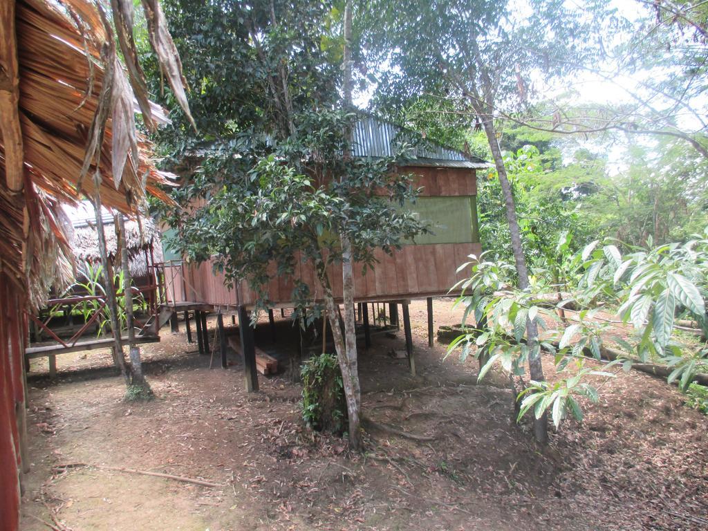 Amazon Queen Lodge Масан Экстерьер фото